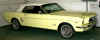 MUSTANG.jpg (52989 bytes)